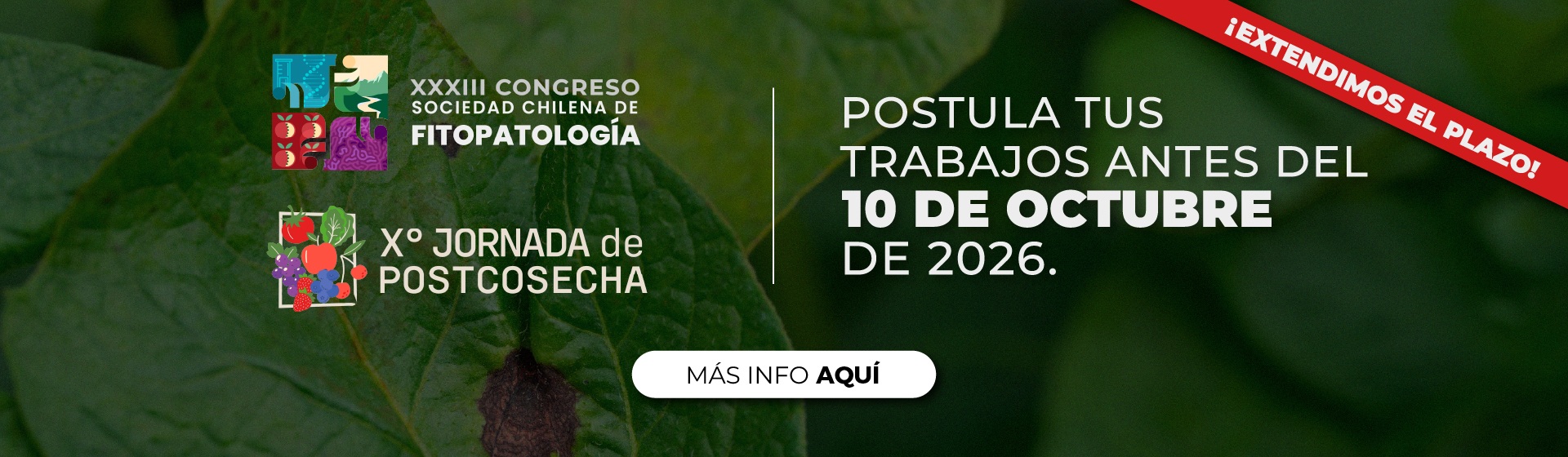 Postula tus trabajos antes del 1 de octubre de 2026 — Más info aquí