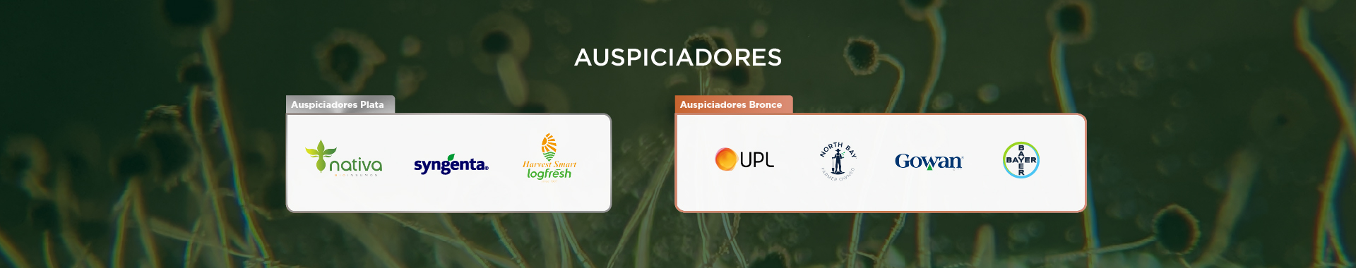 Auspiciadores del Congreso y Jornadas 2026