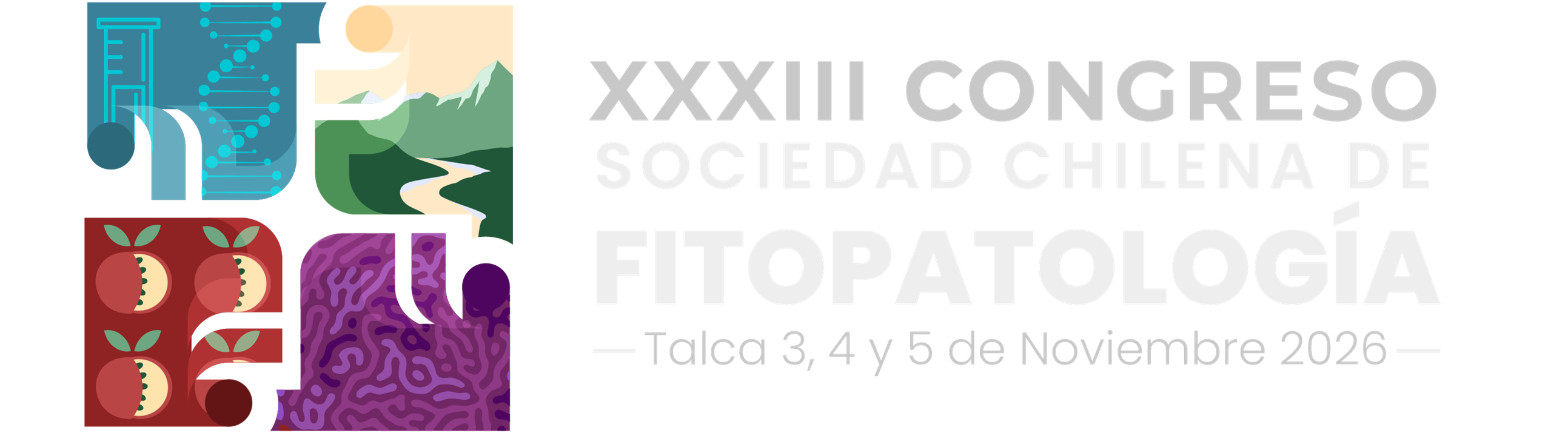 XXXIII Congreso SOCHIFIT