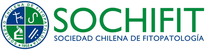 SOCHIFIT
